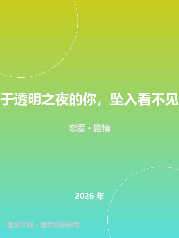 与奔走于透明之夜的你，坠入看不见的爱恋 海报